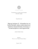 Utjecaj izmjene E- i N-kadherina na fosforilacijski status beta-katenina i epitelno-mezenhimsku tranziciju u intrakranijalnim meningeomima