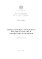 The mechanisms of microtubule associated proteins in chromosome segregation