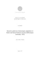 Genomic patterns of phenotypic adaptation in Italian wall lizard Podarcis siculus (Rafinesque-Schmaltz, 1810)