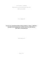 Evolucija rudonosnih fluida rudnog tijela Vršnik u bakrenom porfirnom ležištu Bučim, Republika Sjeverna Makedonija