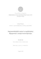 prikaz prve stranice dokumenta Supramolekulski sustavi u medicinskoj dijagnostici i usmjerenom liječenju