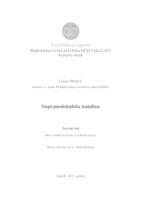 prikaz prve stranice dokumenta Supramolekulska kataliza