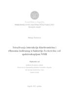 prikaz prve stranice dokumenta Istraživanje interakcija klaritromicina i ribosoma izoliranog iz bakterije Escherichia coli spektroskopijom NMR