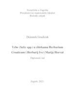 prikaz prve stranice dokumenta Vrbe (Salix spp.) u zbirkama Herbarium Croaticum i Herbarij Ive i Marije Horvat