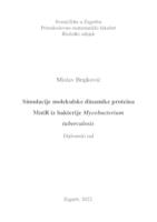 prikaz prve stranice dokumenta Simulacije molekulske dinamike proteina MntR iz bakterije Mycobacterium tuberculosis
