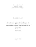 prikaz prve stranice dokumenta Genetic and epigenetic landscapes of spontaneus genome rearrangements in grapevine