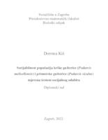 prikaz prve stranice dokumenta Socijabilnost u populacijama krške gušterice (Podarcis melisellensis) i primorske gušterice (Podarcis siculus) mjerena testom socijalnog odabira