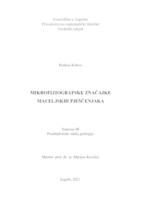 prikaz prve stranice dokumenta Mikrofiziografske značajke Maceljskih pješčenjaka