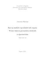 prikaz prve stranice dokumenta Razvoj muških reproduktivnih organa Wistar štakora prenatalno izloženih alfa-cipermetrinu