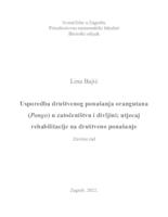 prikaz prve stranice dokumenta Usporedba društvenog ponašanja orangutana  (Pongo) u zatočeništvu i divljini; utjecaj  rehabilitacije na društveno ponašanje