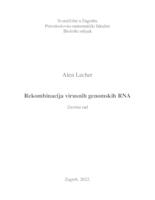 prikaz prve stranice dokumenta Rekombinacija virusnih genomskih RNA