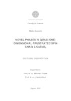 prikaz prve stranice dokumenta Novel phases in quasi-one-dimensional frustrated spin chain LiCuSbO4