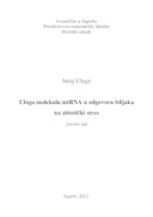 prikaz prve stranice dokumenta Uloga molekula miRNA u odgovoru biljaka  na abiotički stres
