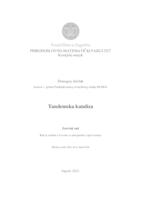 prikaz prve stranice dokumenta Tandemska kataliza