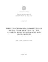 prikaz prve stranice dokumenta Effects of human papillomavirus 16 (HPV16) E6 oncoprotein on cell polarity regulators in head and neck cancers