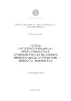 prikaz prve stranice dokumenta UTJECAJ PATOGENOGA PUUMALA I APATOGENOGA TULA ORTOHANTAVIRUSA NA UROĐENI IMUNOSNI ODGOVOR PRIMARNIH MONOCITA I MAKROFAGA