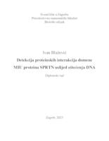 prikaz prve stranice dokumenta Detekcija proteinskih interakcija domene MIU proteina SPRTN uslijed oštećenja DNA