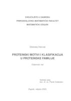 prikaz prve stranice dokumenta Proteinski motivi i klasifikacija u proteinske familije