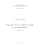 prikaz prve stranice dokumenta Dvojenoge (Myriapoda, Diplopoda) špilja i jama planine Velebit