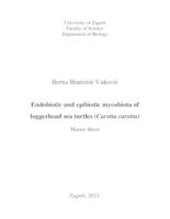 prikaz prve stranice dokumenta Endobiotic and epibiotic mycobiota of loggerhead sea turtles (Caretta caretta)