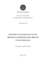 prikaz prve stranice dokumenta Estimates for homogenous Fourier multipliers and multiparameter maximal Fourier restriction