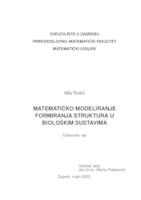 prikaz prve stranice dokumenta Matematičko modeliranje formiranja struktura u biološkim sustavima