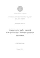 prikaz prve stranice dokumenta Uloga proteina IqgC u regulaciji makropinocitoze u amebi Dictyostelium discoideum