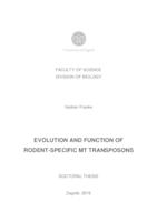 prikaz prve stranice dokumenta Evolucija i funkcija traspozona MT, specifičnih za glodavce