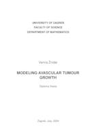 prikaz prve stranice dokumenta Modeling avascular tumour growth