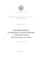 prikaz prve stranice dokumenta Rekombinogenost palindroma i kvazipalindroma u genomu kvasca Saccharomyces cerevisiae