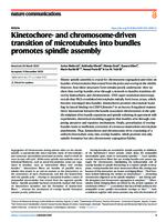 prikaz prve stranice dokumenta Kinetochore- and chromosome-driven transition of microtubules into bundles promotes spindle assembly