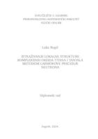 prikaz prve stranice dokumenta Istraživanje lokalne strukture kompleksnih oksida titana i tantala Larmorovom precesijom neutrona