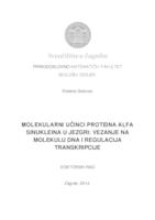 prikaz prve stranice dokumenta Molekularni učinci proteina alfa sinukleina u jezgri: vezanje na molekulu DNA i regulacija transkripcije