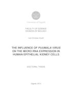 prikaz prve stranice dokumenta Utjecaj virusa Puumala na ekspresiju molekula mikro RNA u ljudskim epitelnim stanicama bubrega