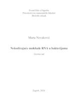 prikaz prve stranice dokumenta Nekodirajuće molekule RNA u bakterijama