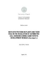 prikaz prve stranice dokumenta Proteini MATH-BTB u biljaka i njihova uloga u regulaciji asimetričnih staničnih dioba tijekom razvoja gametofita kukuruza (Zea mays L.)