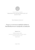 prikaz prve stranice dokumenta Priprava novih heterocikličkih inhibitora butirilkolinesteraze temeljenih na imidazolu