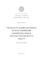 prikaz prve stranice dokumenta THE ROLES OF AUGMIN AND SPINDLE ACTIN IN CHROMOSOME CONGRESSION, SPINDLE ARCHITECTURE AND MITOTIC FIDELITY