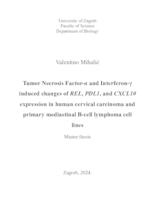 prikaz prve stranice dokumenta Promjena ekspresije gena REL, PDL1 i CXCL10 faktorom nekroze tumora alfa i interferonom gama u stanicama karcinoma vrata maternice i primarnog medijastinalnog B-staničnog limfoma čovjeka