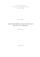 prikaz prve stranice dokumenta TRIJASKI MORSKI GMAZ IZ OKOLICE KRAŠIĆA (ŽUMBERAK)