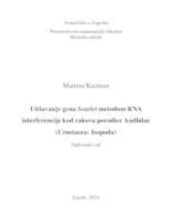 prikaz prve stranice dokumenta Utišavanje gena Scarlet metodom RNA interferencije kod rakova porodice Asellidae (Crustacea: Isopoda)