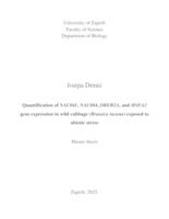 prikaz prve stranice dokumenta Kvantitativna ekspresija gena NAC041, NAC084, DREB2A i HSFA2 u klijanaca divljeg  kupusa (Brassica incana) izloženih abiotičkom stresu