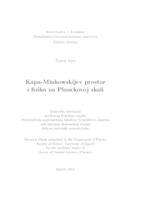 prikaz prve stranice dokumenta Kapa-Minkowskijev prostor i zika na Planckovoj skali