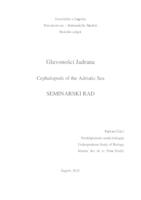 prikaz prve stranice dokumenta Glavonošci Jadrana