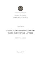prikaz prve stranice dokumenta Synthetic magnetism in quantum gases and photonic lattices
