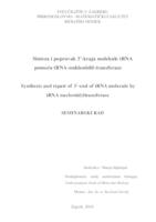 prikaz prve stranice dokumenta Sinteza i popravak 3'-kraja molekule tRNA pomoću tRNA-nukleotidil-transferaze