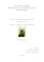 prikaz prve stranice dokumenta Biologija i domestifikacija papige tigrice (Melopsittacus undulatus)