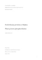 prikaz prve stranice dokumenta Fosforilacija proteina u biljaka