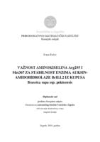 prikaz prve stranice dokumenta Važnost aminokiselina Arg295 i Met367 za stabilnost enzima auksin-amidohidrolaze BrILL2 iz kupusa Brassica rapa ssp. pekinensis