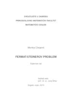 prikaz prve stranice dokumenta Fermat-Steinerov problem